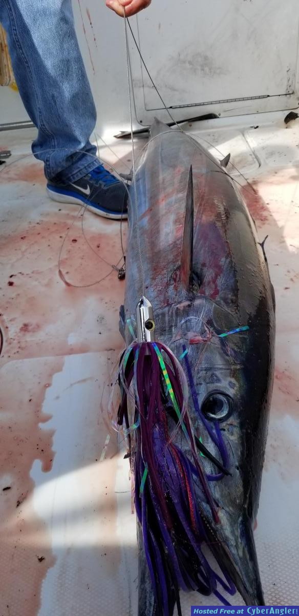 Click to Enlarge Photo