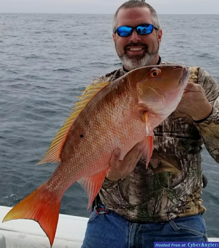 Click to Enlarge Photo