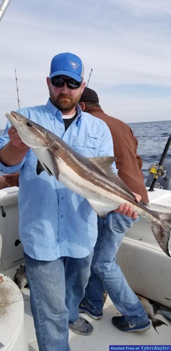 Click to Enlarge Photo