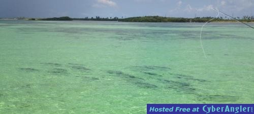 Click to Enlarge Photo