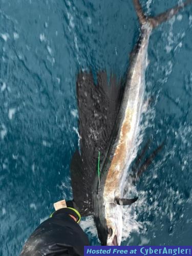 Click to Enlarge Photo