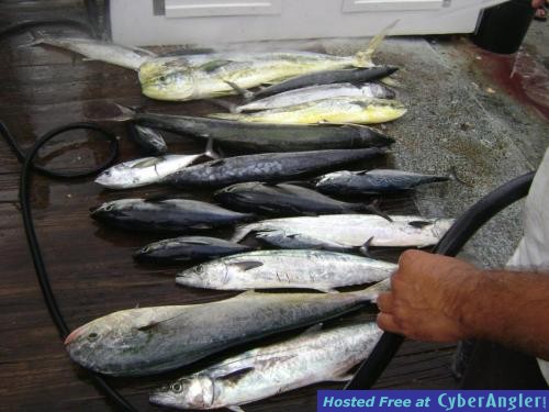 Click to Enlarge Photo