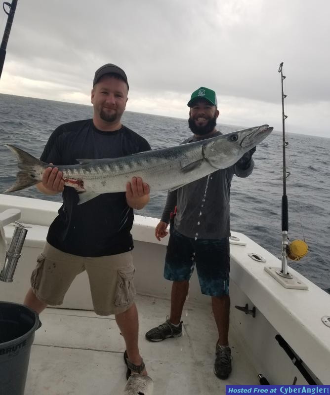 barracuda