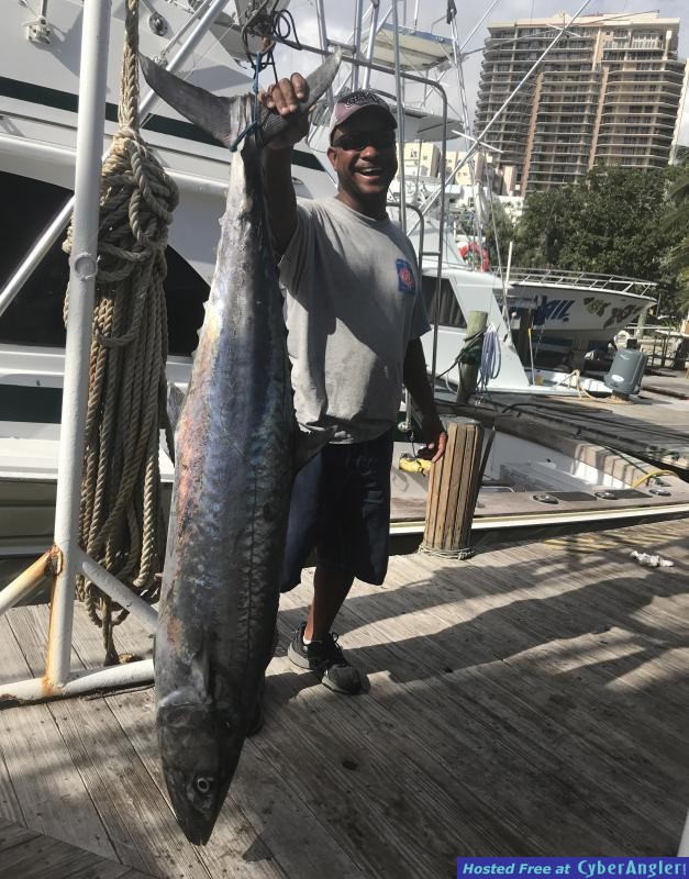 kingfish_dave