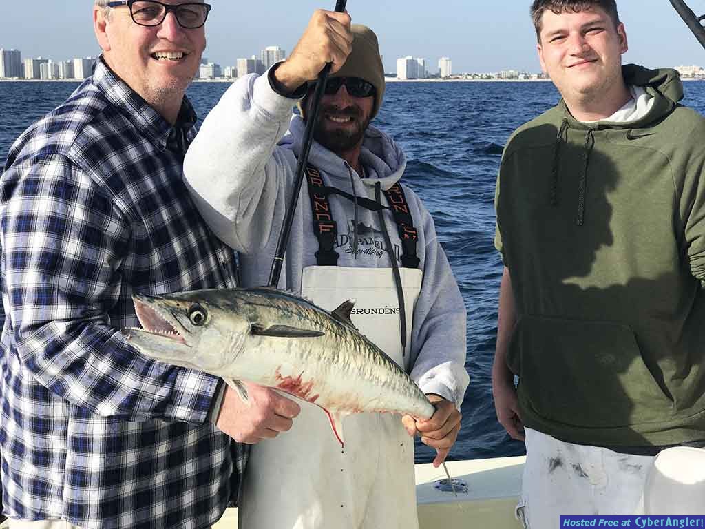 kingfish