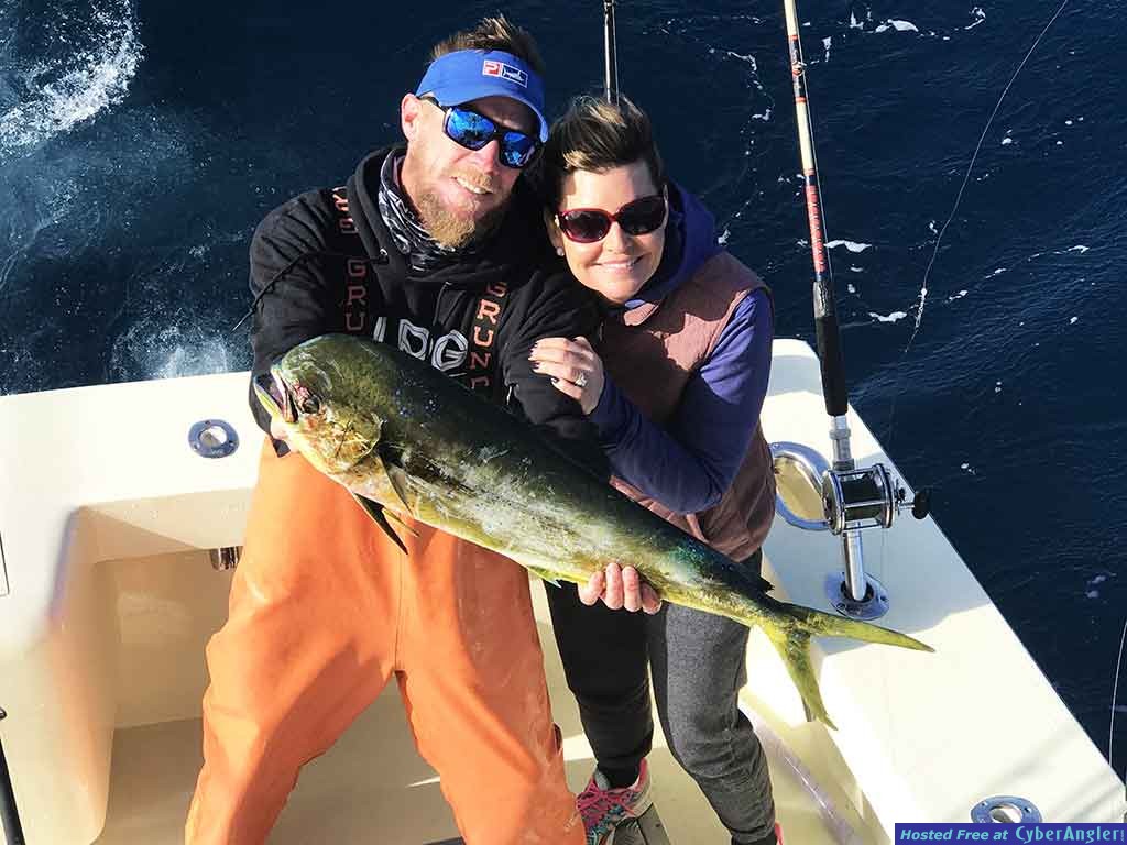 mahi