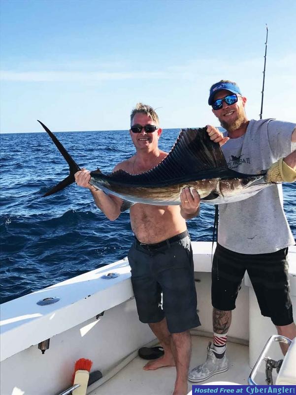 sailfish2