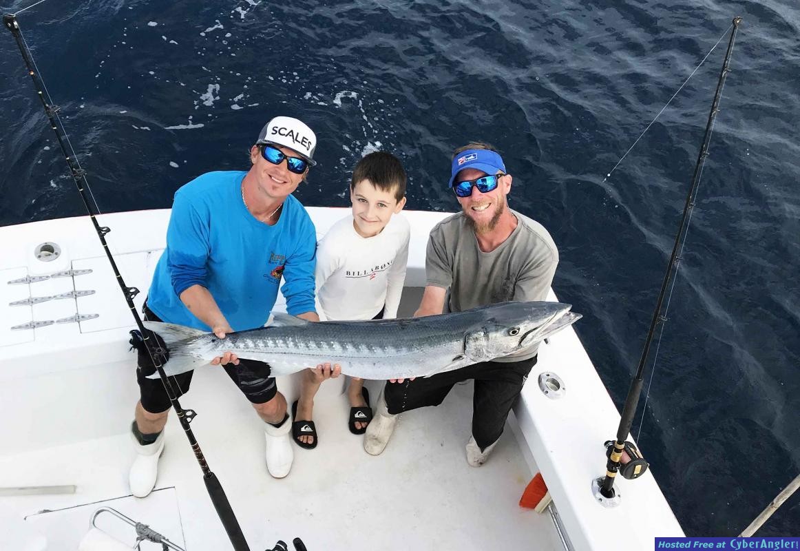 barracuda