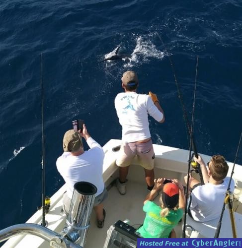 Click to Enlarge Photo