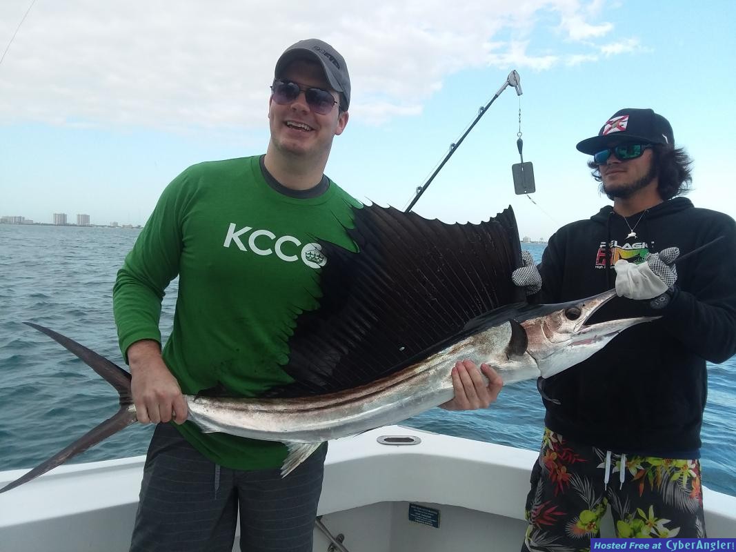 Sailfish_Kevin