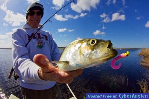 Click to Enlarge Photo