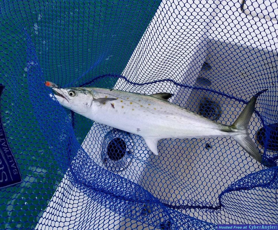 Click to Enlarge Photo