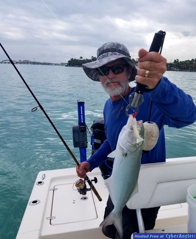 Click to Enlarge Photo