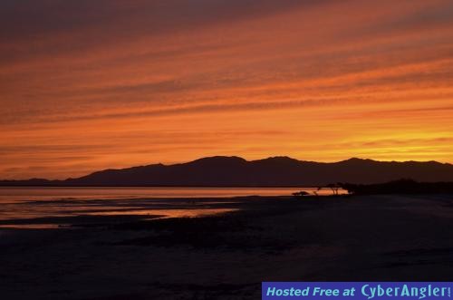 Click to Enlarge Photo