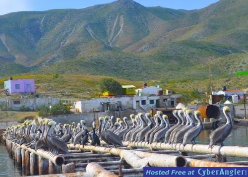 Click to Enlarge Photo