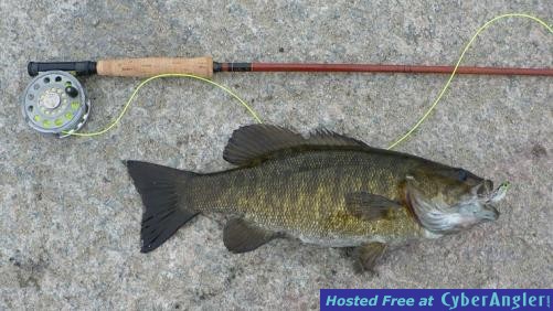 Click to Enlarge Photo