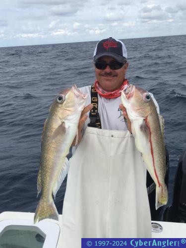 Click to Enlarge Photo