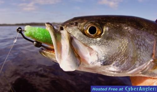 Click to Enlarge Photo