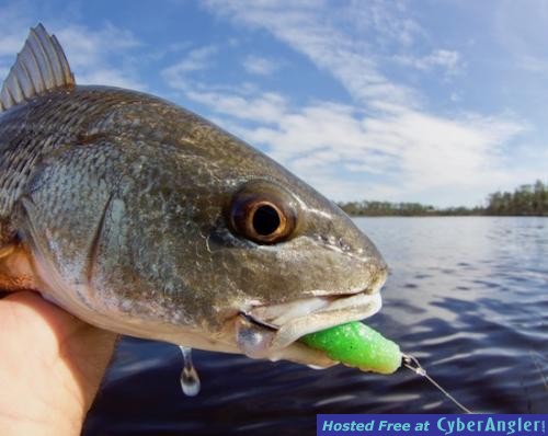 Click to Enlarge Photo