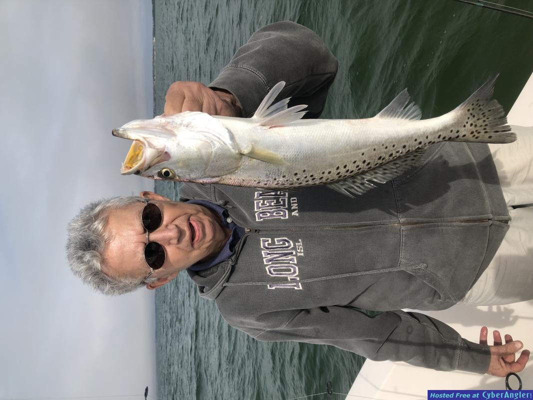 Dunedin_Fly_Fishing_Charters