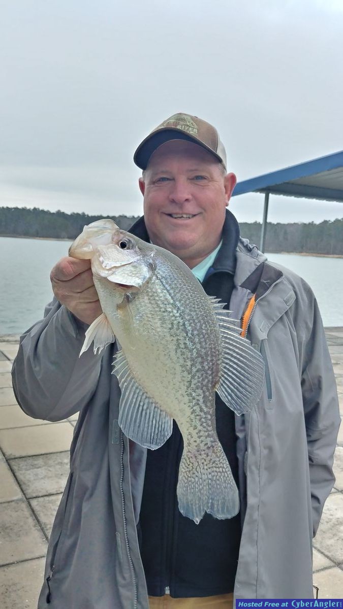 Clarks hill crappie