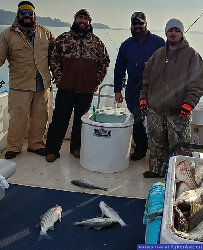 Clarks hill hybrids, boat load