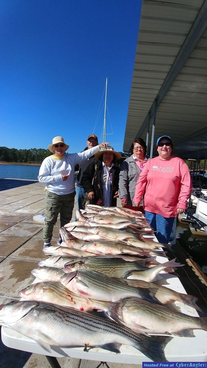 Clarks hill hybrids and stripers