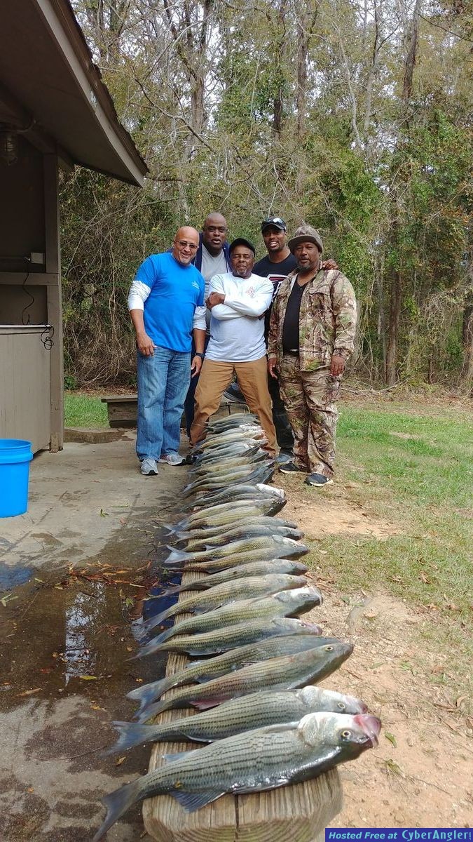Clarks hill hybrids and stripers