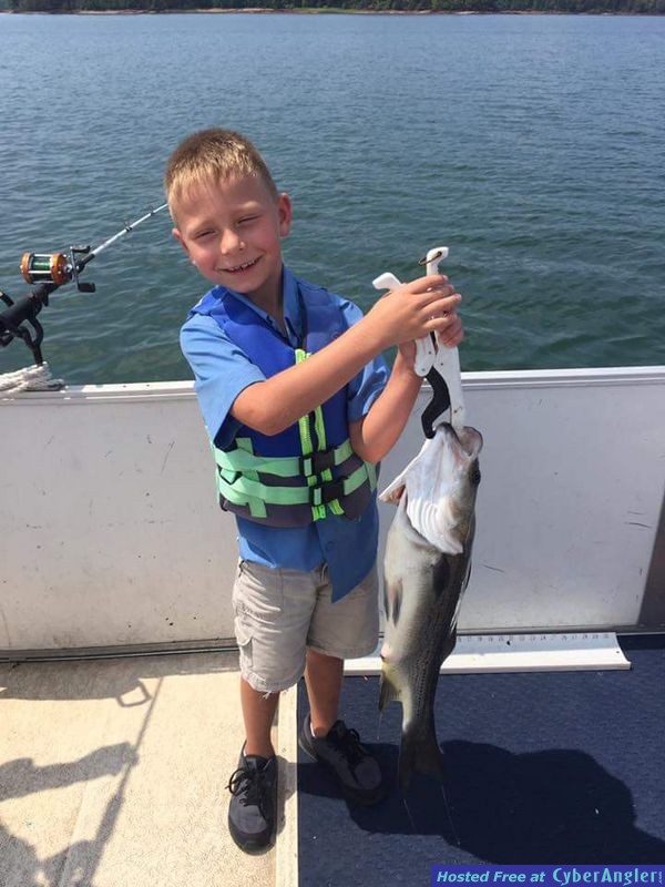 Clarks hill hybrids and stripers