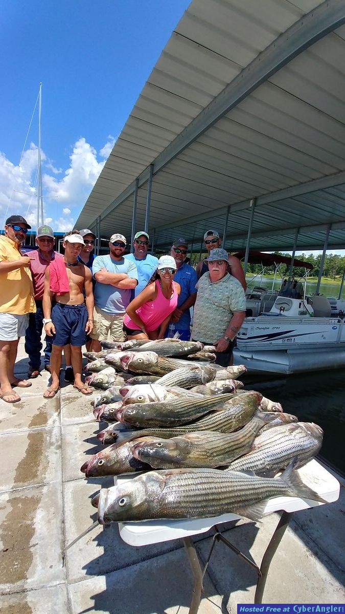 Clarks hill hybrids and stripers