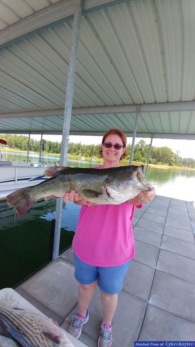 Monster bass