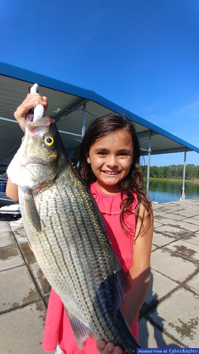 Little river guide service
