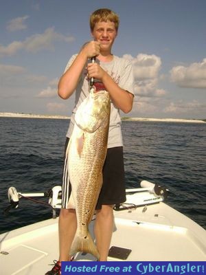 Click to Enlarge Photo