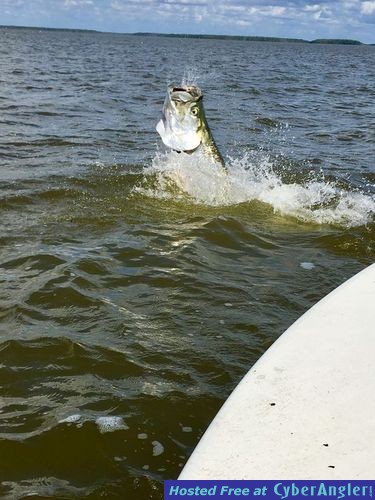 Click to Enlarge Photo