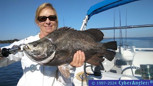 Fishing Stuart and the St. Lucie River