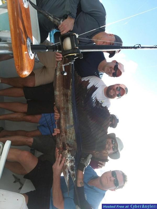 sailfishbill