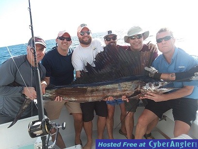 Sailfish_Bill_s