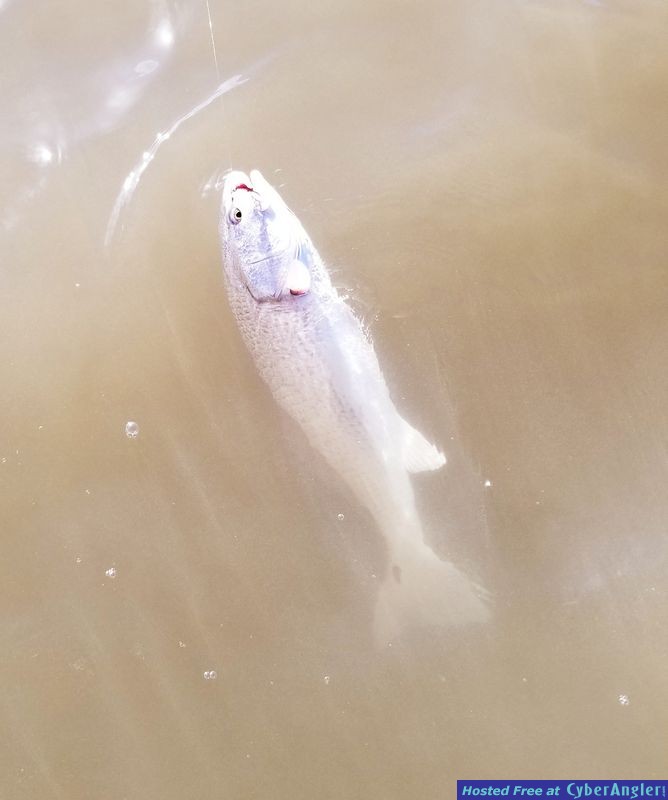 Click to Enlarge Photo