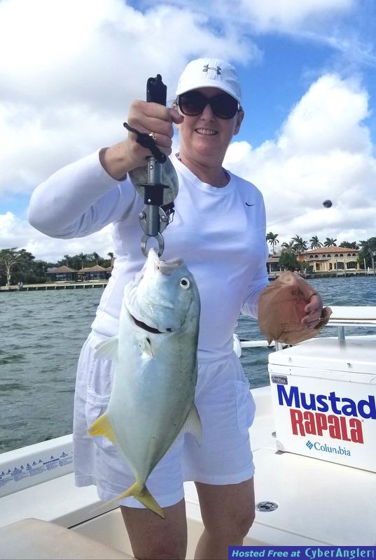 Click to Enlarge Photo