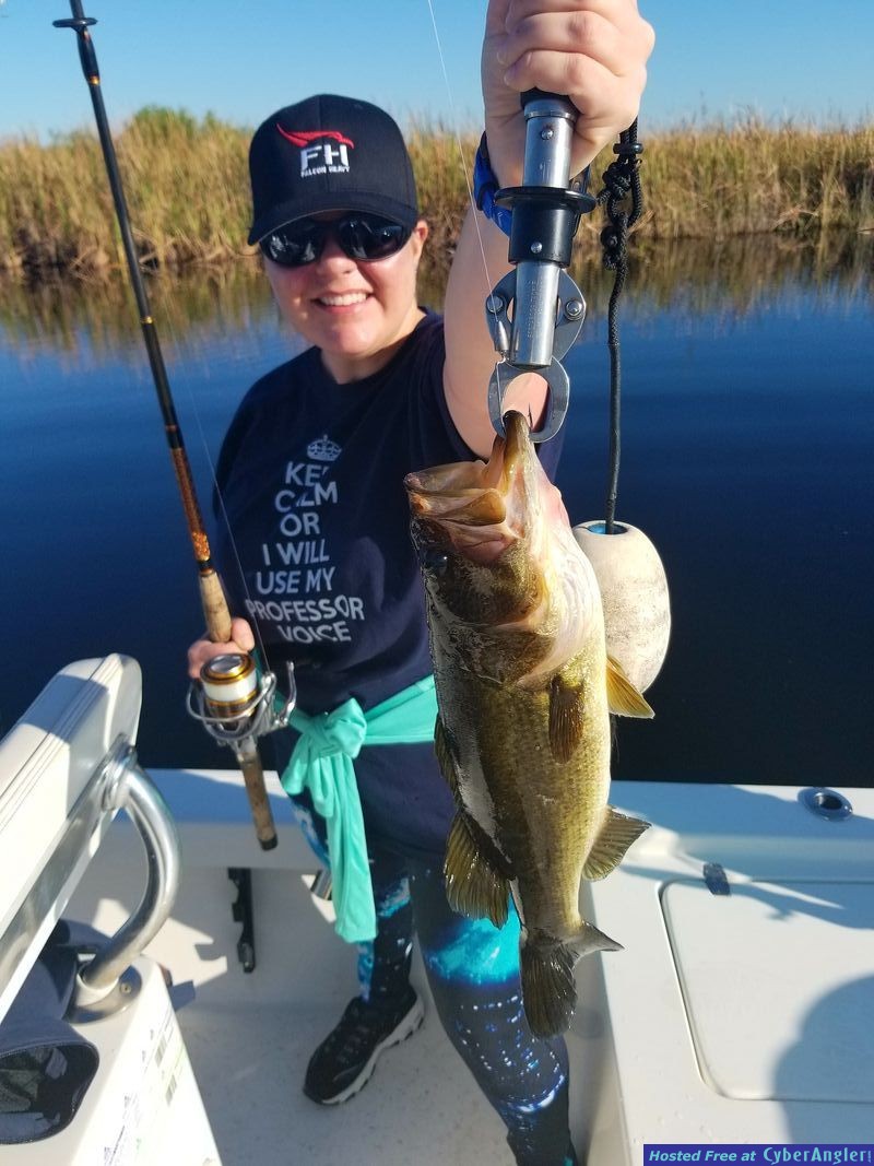 Click to Enlarge Photo