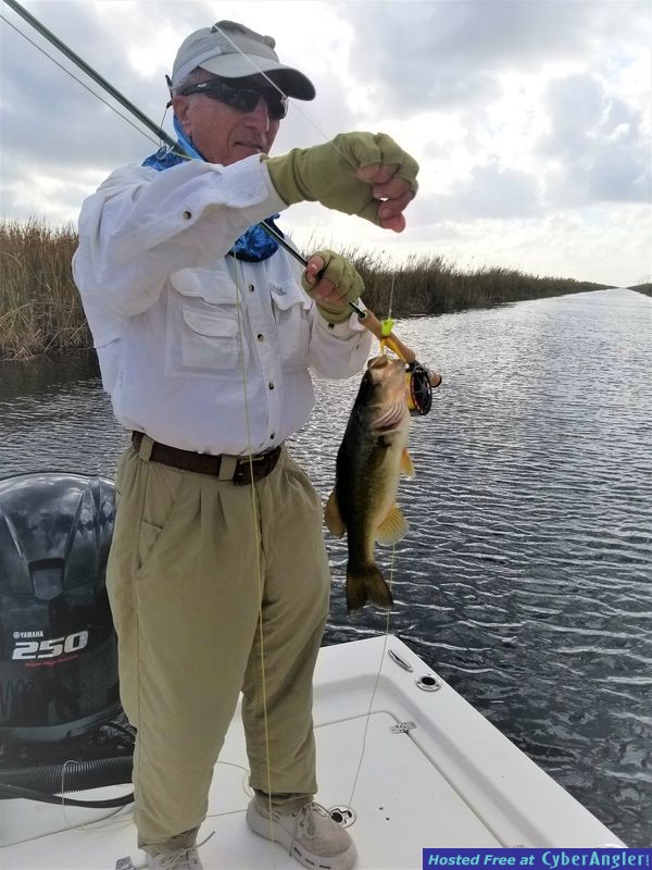 Click to Enlarge Photo