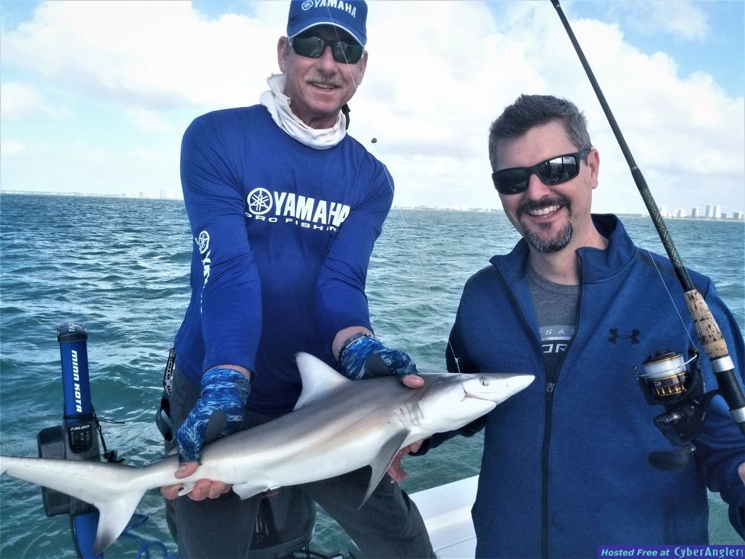 Click to Enlarge Photo