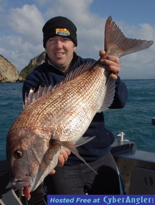 Snapper Caught on Gulp Softbait in New Zealand