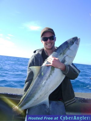 Kingfish caught with Epic Adventures in New Zealand