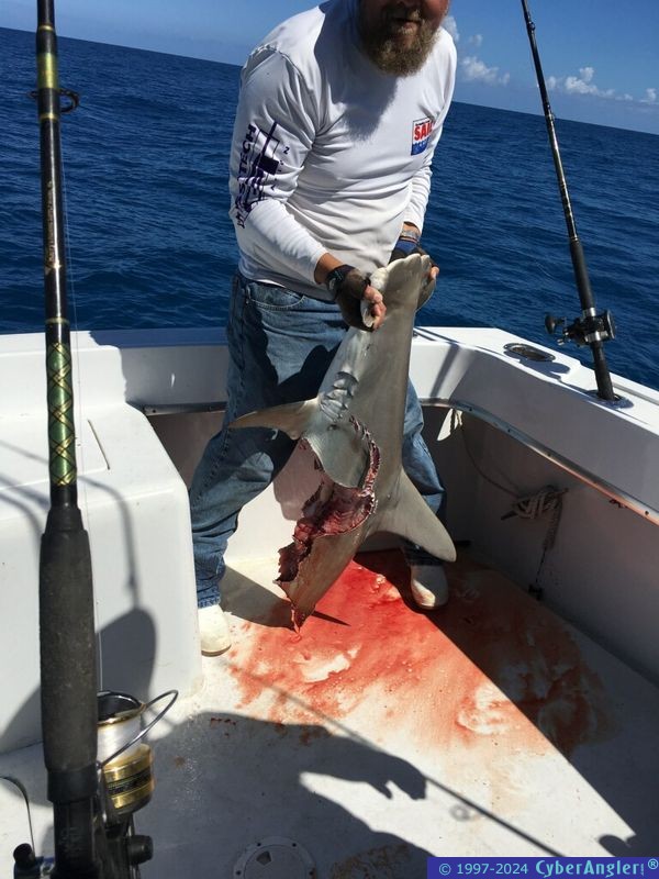 Click to Enlarge Photo