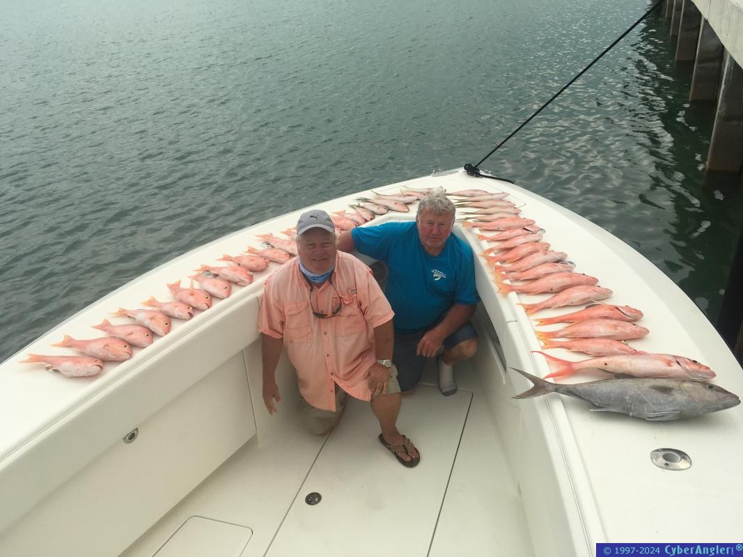 IMG_5694_snappers