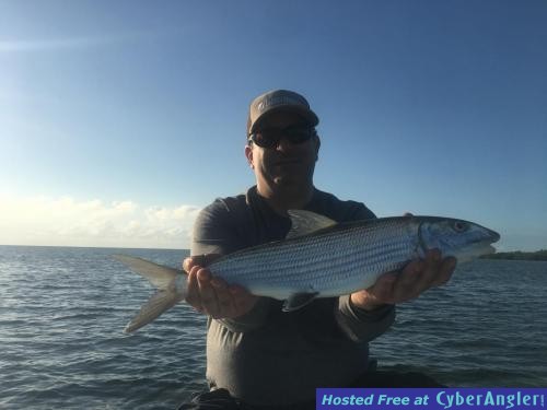 Click to Enlarge Photo