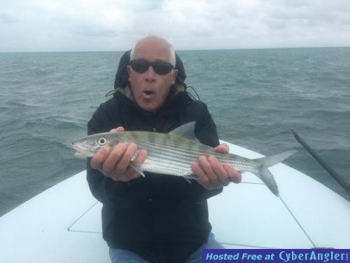 Click to Enlarge Photo