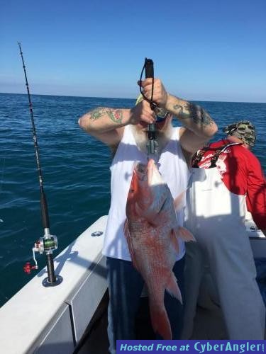 ponce_inlet_offshore_deep_sea_fishing_charters__6_