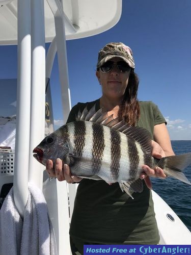 Click to Enlarge Photo